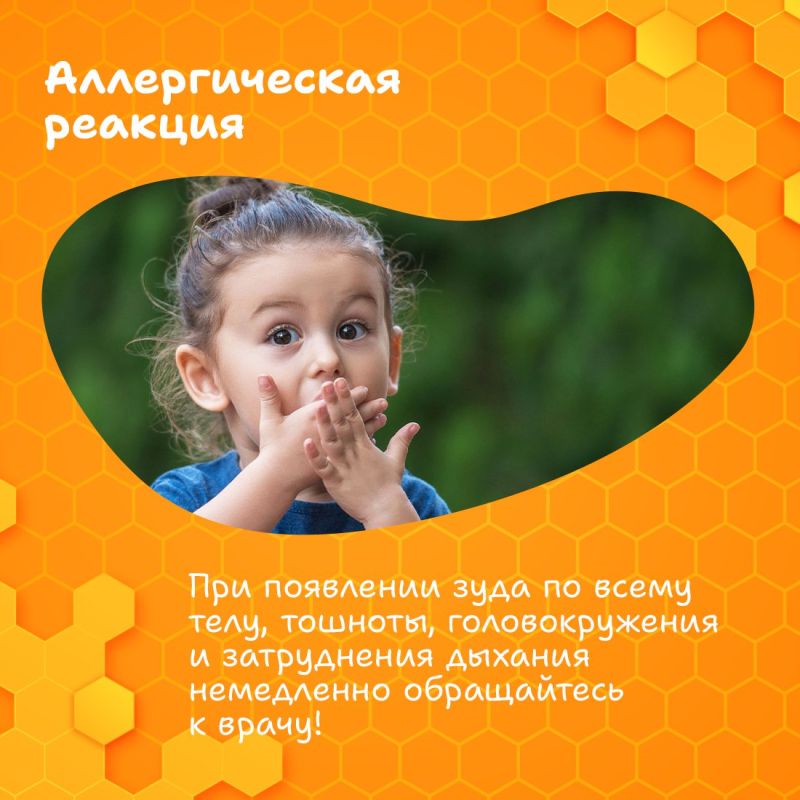Размеренное жужжание пчёлок неотъемлемый атрибут лета Размеренное жужжание пчёлок неотъемлемый атрибут лета