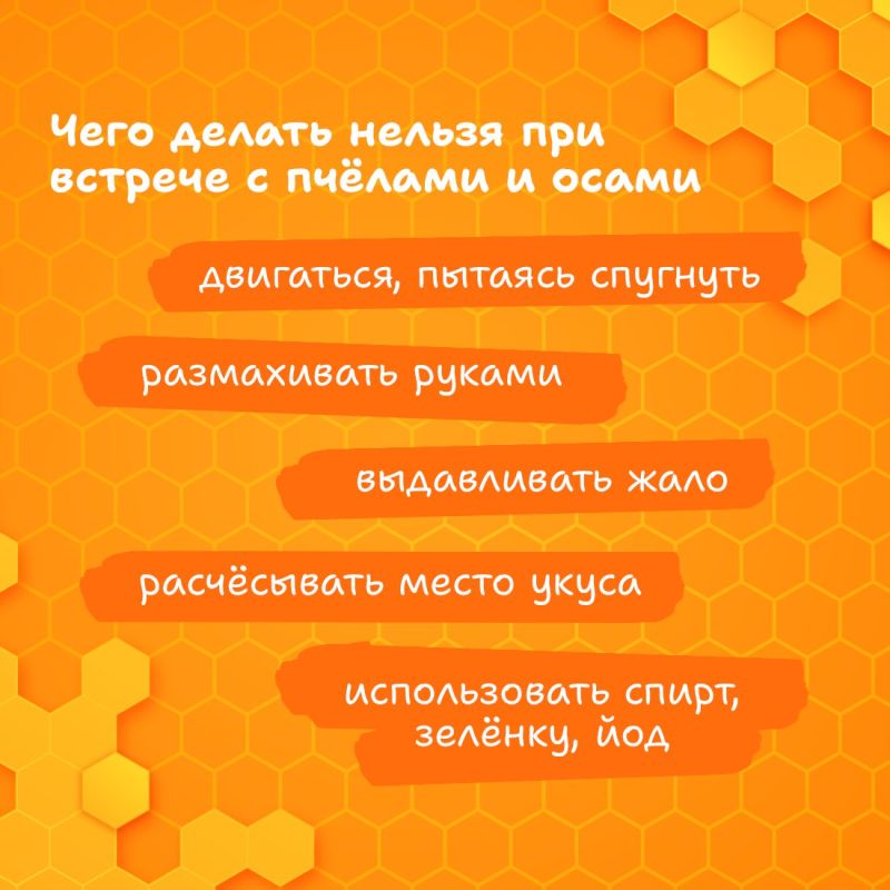 Размеренное жужжание пчёлок неотъемлемый атрибут лета Размеренное жужжание пчёлок неотъемлемый атрибут лета