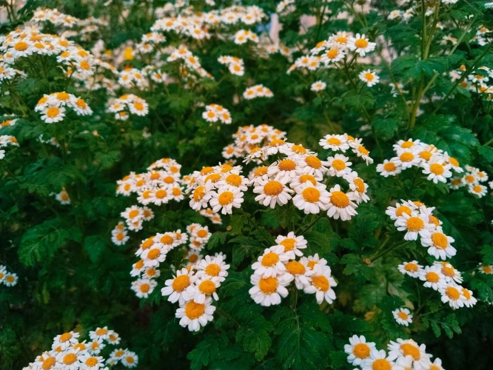 � ������ �����, �������!. ������ ���� ����������� ���! ������� � � ����� ������ �����������, t +28, ����� ������-��������