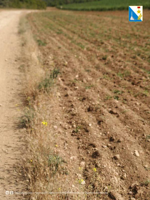 Проверяем пожарную безопасность Проверяем пожарную безопасность
