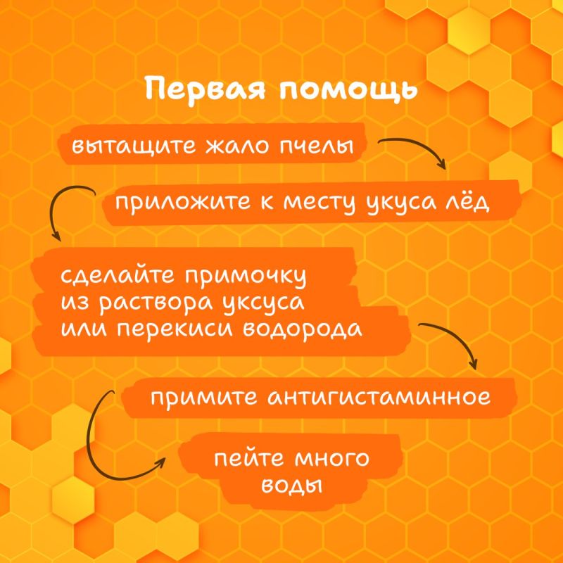 Размеренное жужжание пчёлок неотъемлемый атрибут лета Размеренное жужжание пчёлок неотъемлемый атрибут лета