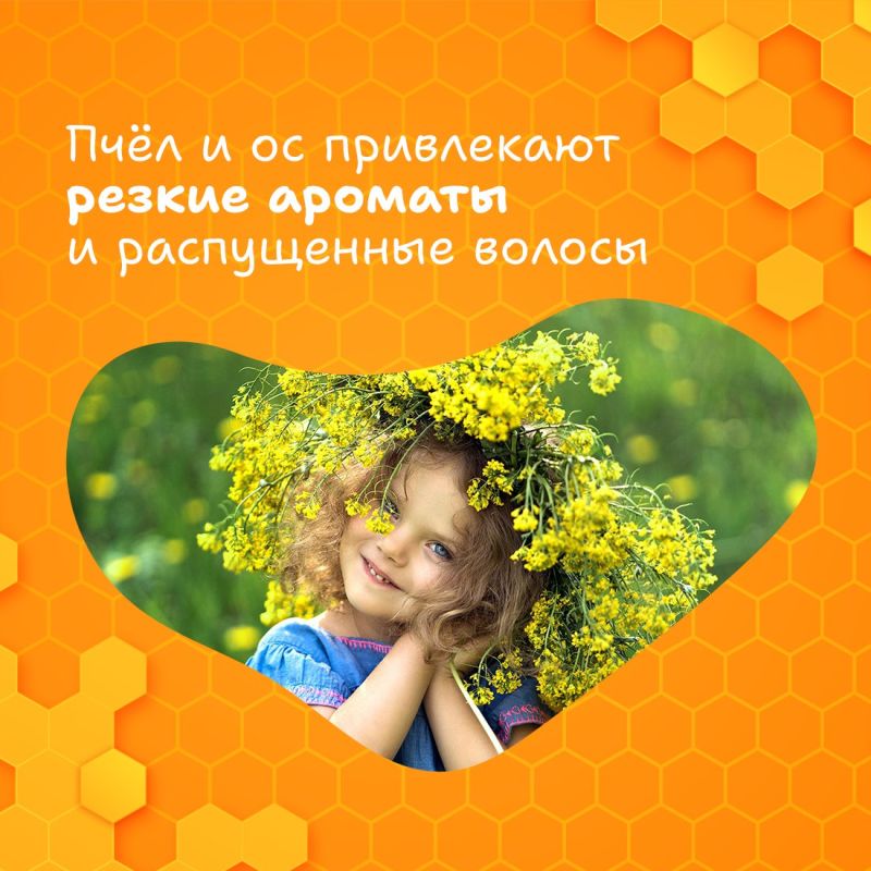 Размеренное жужжание пчёлок неотъемлемый атрибут лета Размеренное жужжание пчёлок неотъемлемый атрибут лета
