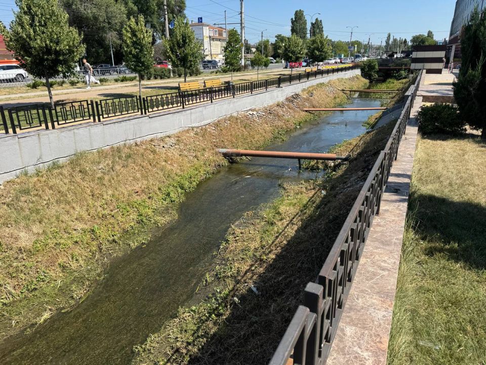 Мертвую рыбу нашли в симферопольской реке Славянка Мертвую рыбу нашли в симферопольской реке Славянка