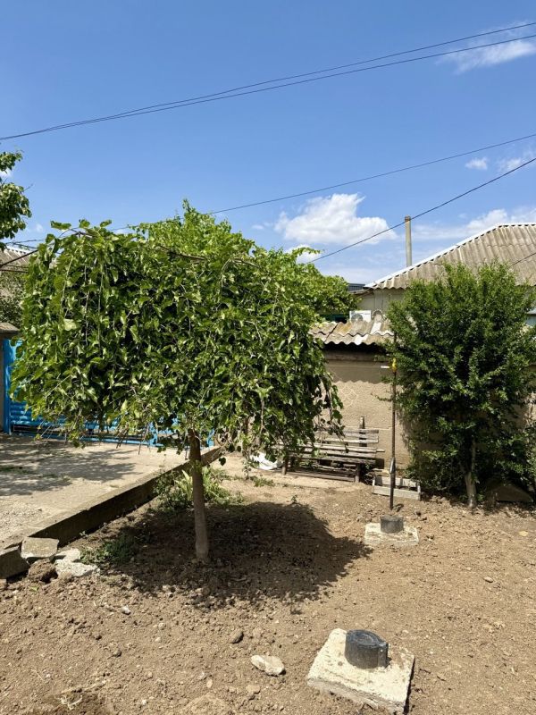 В настоящее время ведутся работы по газификации с. Зоркино Нижнегорского района В настоящее время ведутся работы по газификации с. Зоркино Нижнегорского района