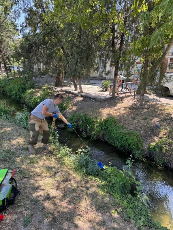 В Симферополе на участке реки Славянка зафиксировали гибель рыбы В Симферополе на участке реки Славянка зафиксировали гибель рыбы