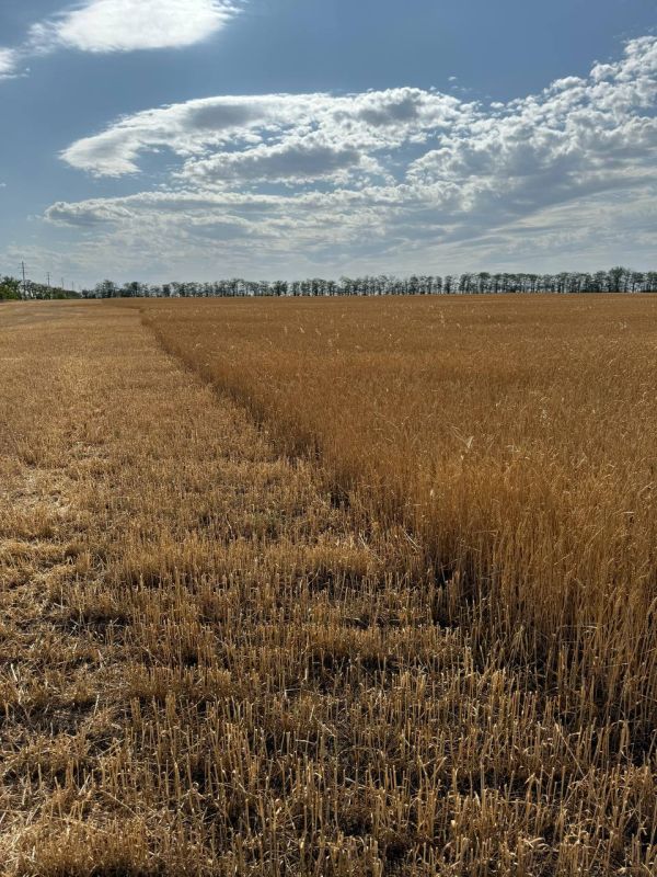 ��������� ��������: � ��������� ������ ���������� ��������� ��������-2025