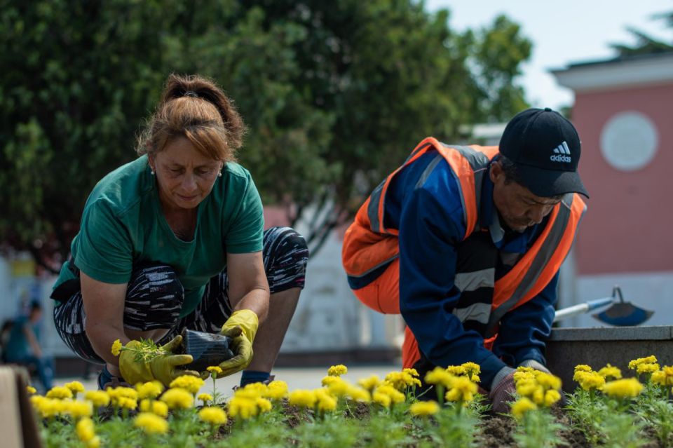 В Симферополе высадили 1,7 тысяч ярких цветов В Симферополе высадили 1,7 тысяч ярких цветов