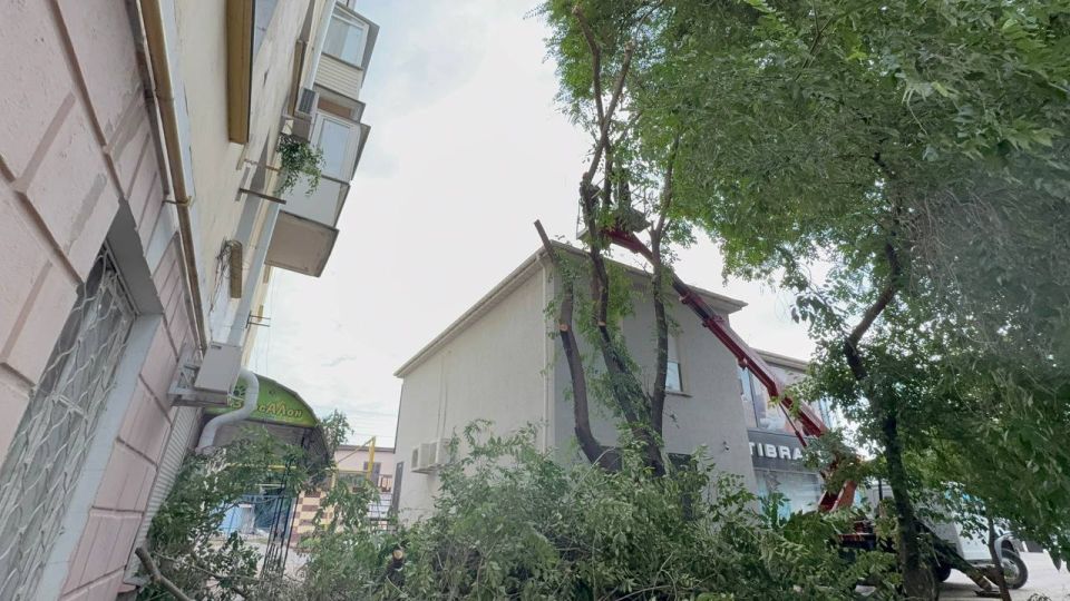 Сотрудники Службы городского хозяйства ведут санитарную обрезку деревьев и поднятие кроны на углу улиц Самойленко и Пирогова Сотрудники Службы городского хозяйства ведут санитарную обрезку деревьев и поднятие кроны на углу улиц Самойленко и Пирогова