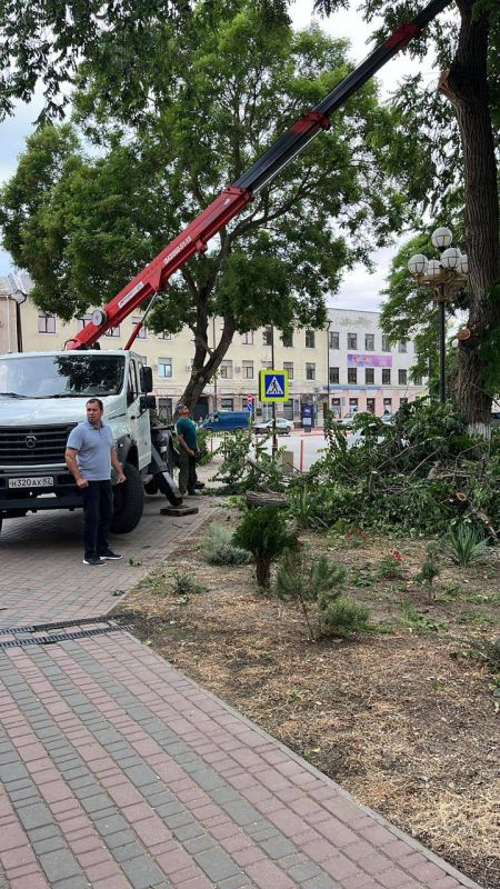 Сотрудники Службы городского хозяйства ведут санитарную обрезку деревьев и поднятие кроны на углу улиц Самойленко и Пирогова Сотрудники Службы городского хозяйства ведут санитарную обрезку деревьев и поднятие кроны на углу улиц Самойленко и Пирогова