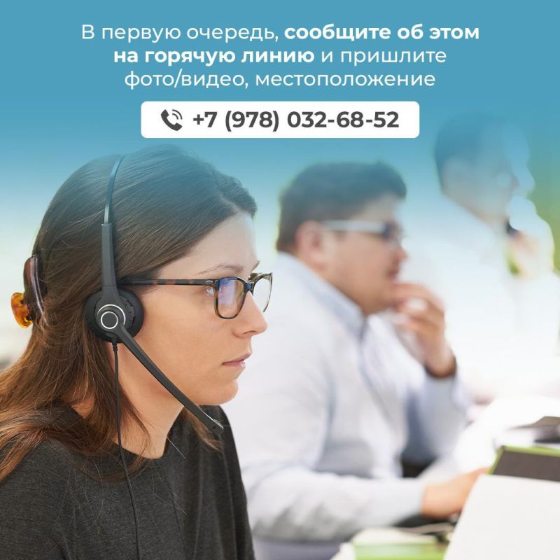 Почему нельзя трогать дельфинов на берегу и как себя вести в таких случаях? Почему нельзя трогать дельфинов на берегу и как себя вести в таких случаях?