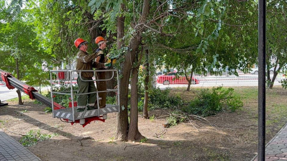 Сотрудники Службы городского хозяйства ведут санитарную обрезку деревьев и поднятие кроны на углу улиц Самойленко и Пирогова Сотрудники Службы городского хозяйства ведут санитарную обрезку деревьев и поднятие кроны на углу улиц Самойленко и Пирогова