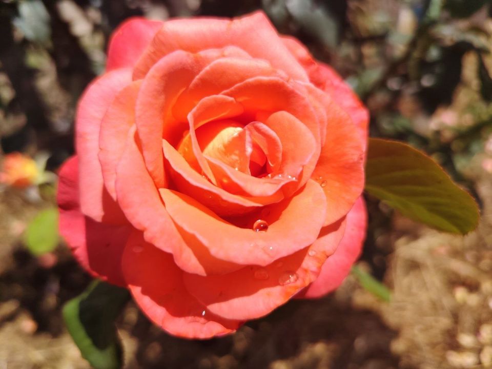 � ������ �����, �������!. ������ ���� ���������� ���! ������� � �������� ��������, t +28, ����� ������-��������