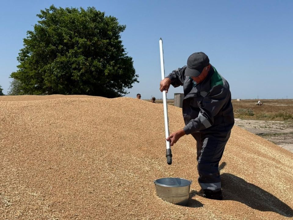 ������������ ��������� ��������� ���������� ���� �������� �� ������������ ������ ���� �������� ������� ������ 2025 ����