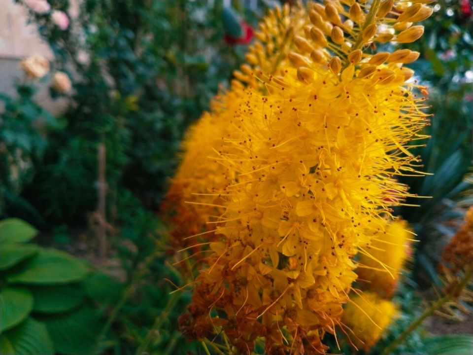 � ������ �����, �������!. ������ ���� ���������� �������! ������� � �������� �����������, t +25, ����� ��������