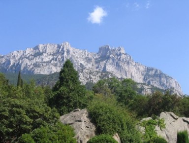 16   :       