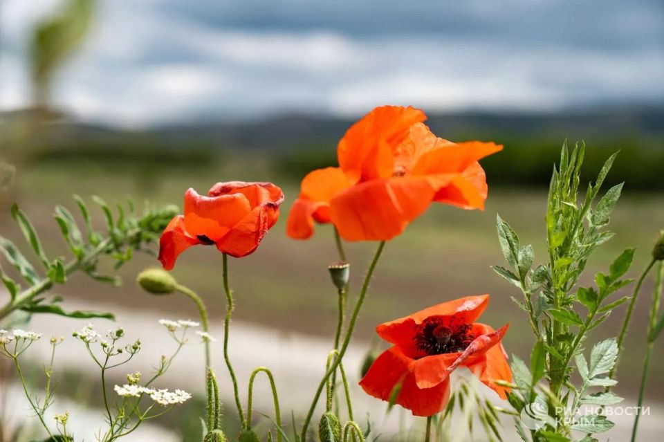 ������� ������ � ����� �� �������