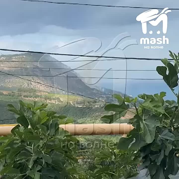        ,  