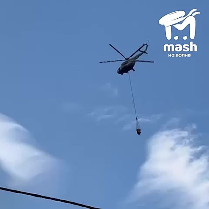       - -    