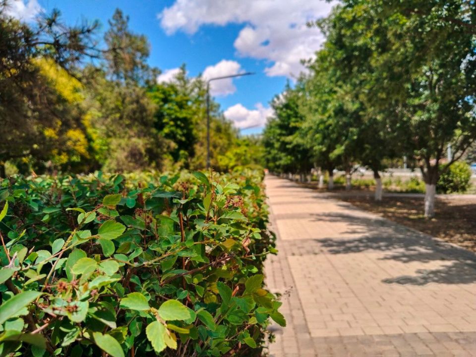 � ������ �����, �������!. ������ ���� ������������� ������ ������� ������! ������� � �������� ��������, t +28, ����� ������-��������