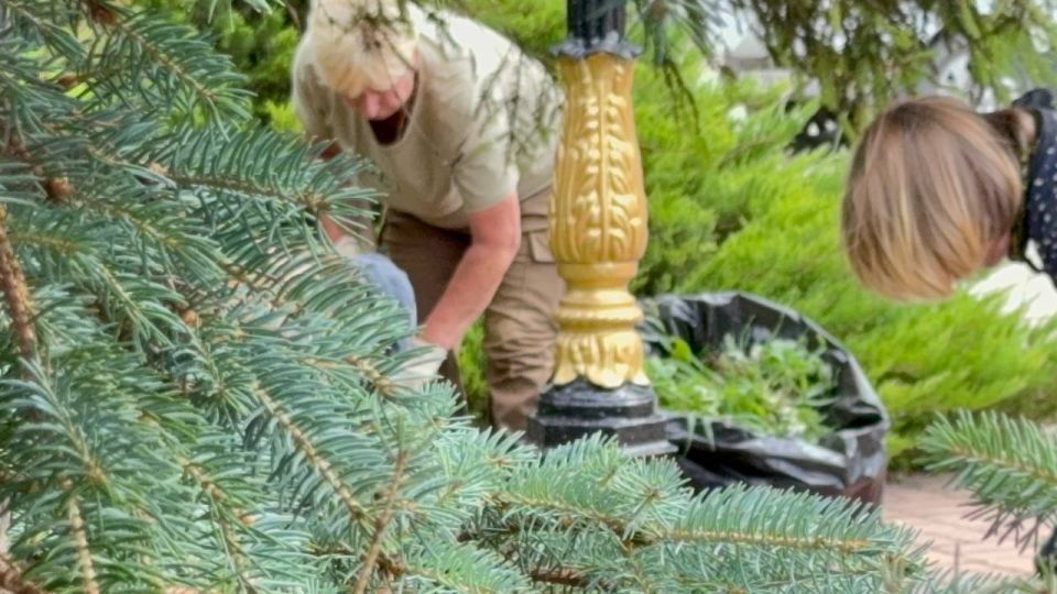 Сотрудники Зеленхоза ухаживают за розарием Сотрудники Зеленхоза ухаживают за розарием