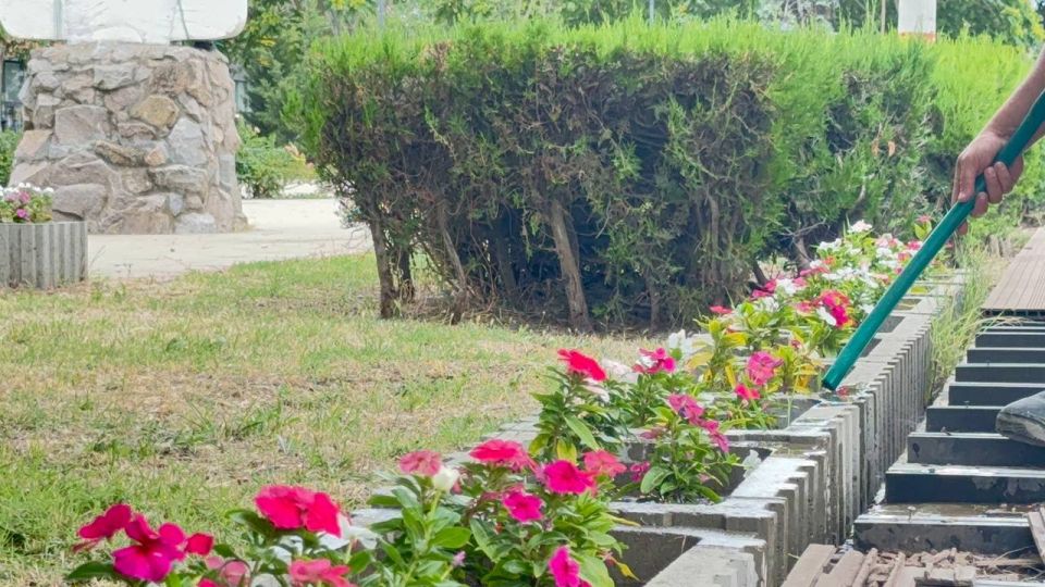 Сотрудники Зеленхоза ухаживают за розарием Сотрудники Зеленхоза ухаживают за розарием