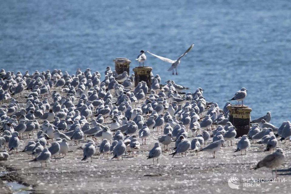 ������� ������ � ����� �� �������