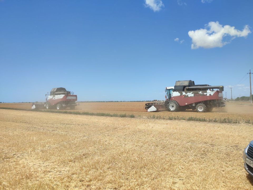 Денис Олейник: В Раздольненском районе полным ходом идет уборочная кампания Денис Олейник: В Раздольненском районе полным ходом идет уборочная кампания