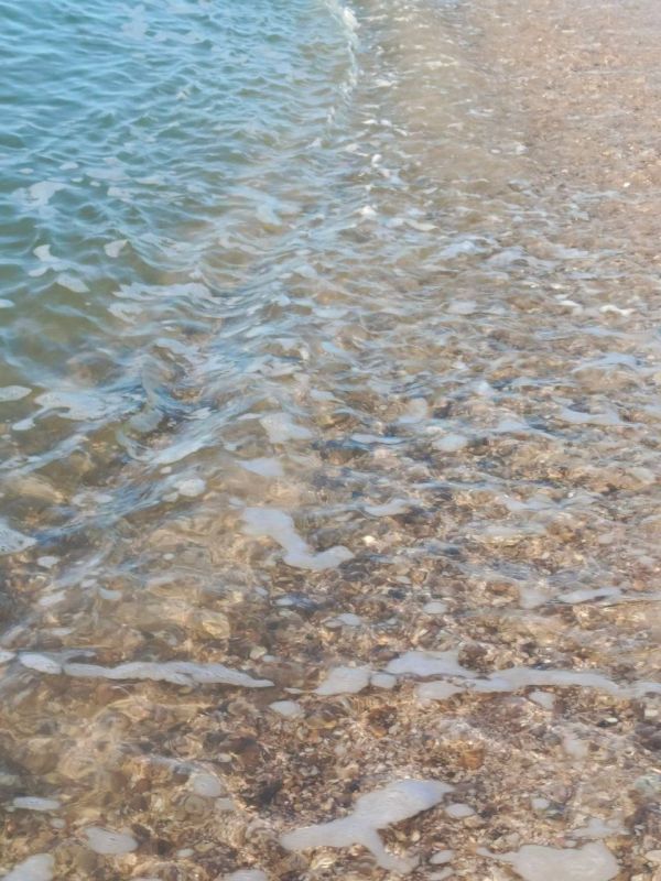 ����������� ���� �� �������� ������, 1 ����