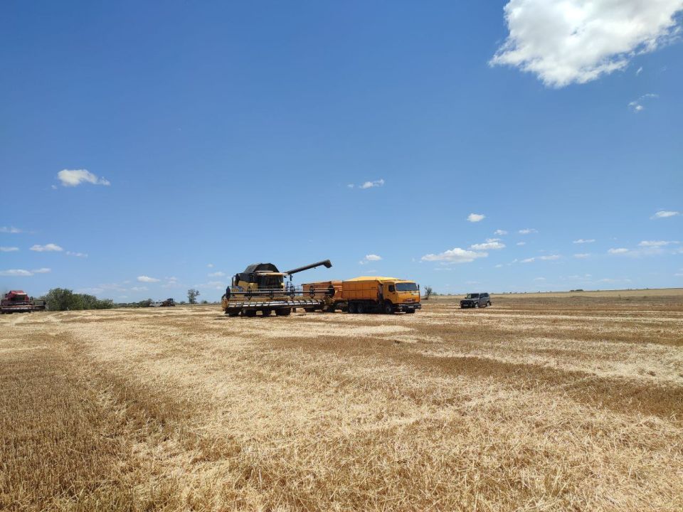 Денис Олейник: В Раздольненском районе полным ходом идет уборочная кампания Денис Олейник: В Раздольненском районе полным ходом идет уборочная кампания