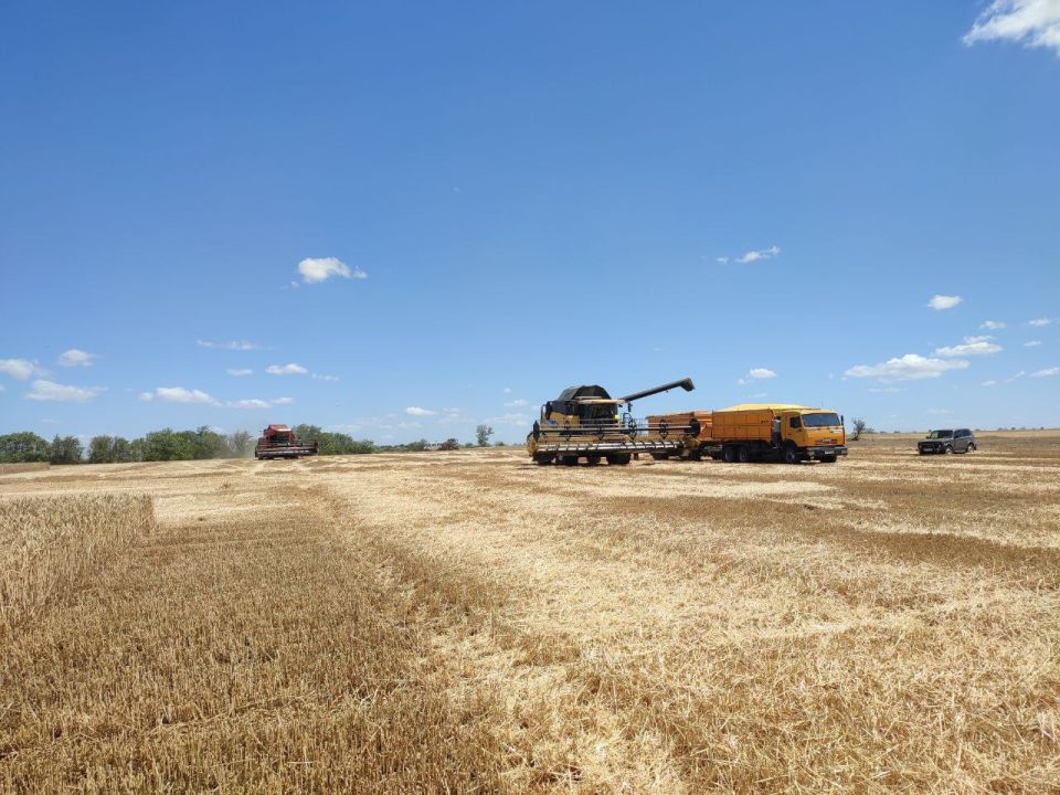 Денис Олейник: В Раздольненском районе полным ходом идет уборочная кампания Денис Олейник: В Раздольненском районе полным ходом идет уборочная кампания