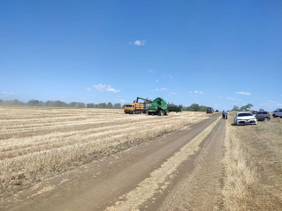 Денис Олейник: В Раздольненском районе полным ходом идет уборочная кампания Денис Олейник: В Раздольненском районе полным ходом идет уборочная кампания