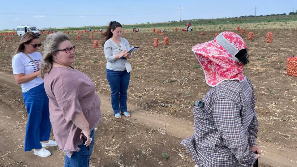 ������ �������: ������ ������� �������� �������������� ������������������ ������: ������� �� �����