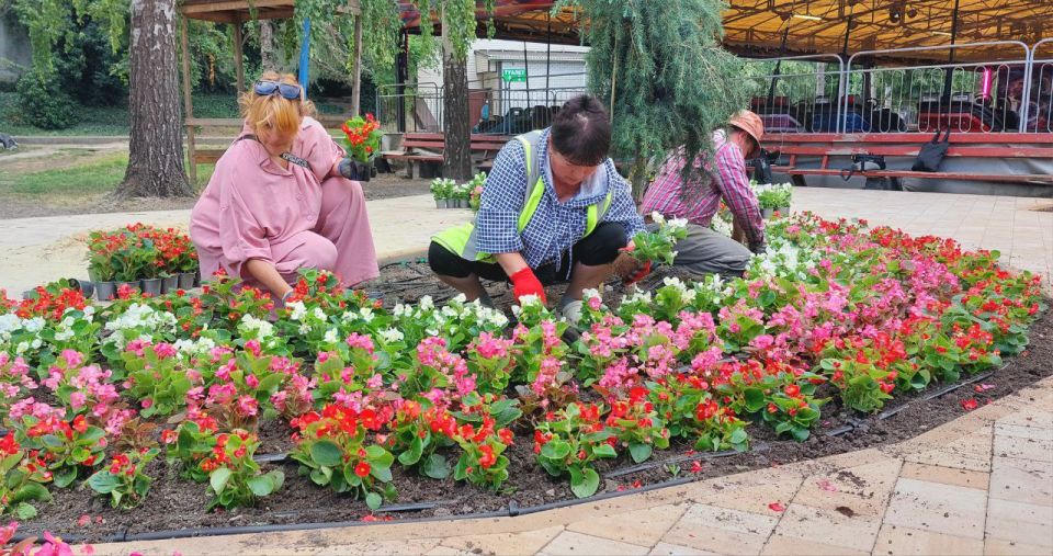 Новые краски парка Гагарина Новые краски парка Гагарина
