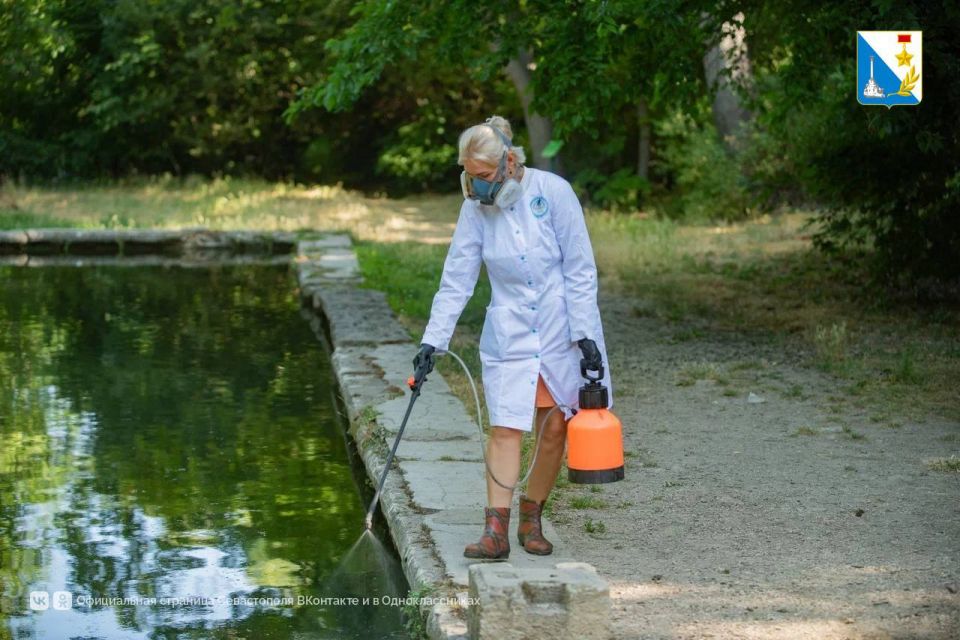 Обработали водоемы от комаров Обработали водоемы от комаров