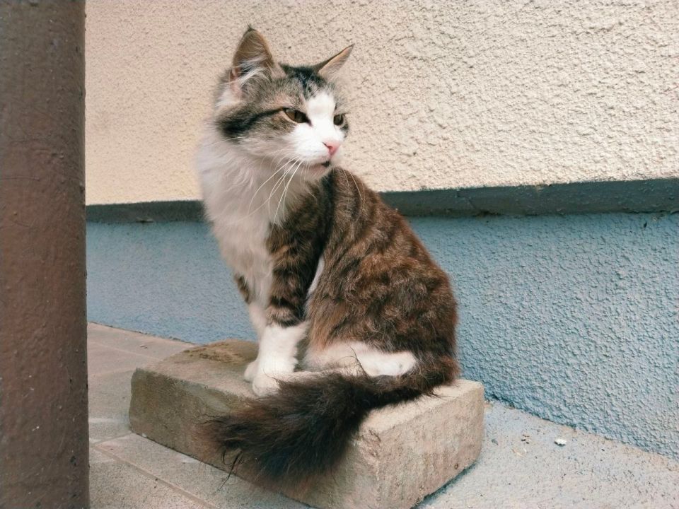 � ������ �����, �������!. ������ ���� ����������� ���! ������� � �������� ��������, t +27, ����� ������-��������