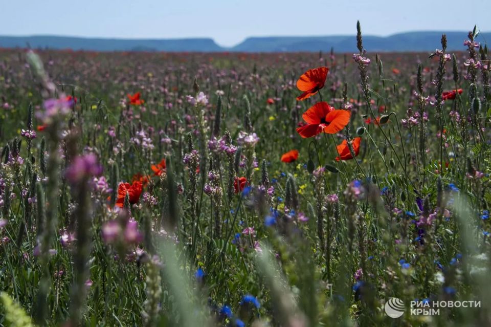 ������� ������ � ����� �� �����