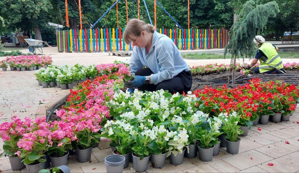 Новые краски парка Гагарина Новые краски парка Гагарина