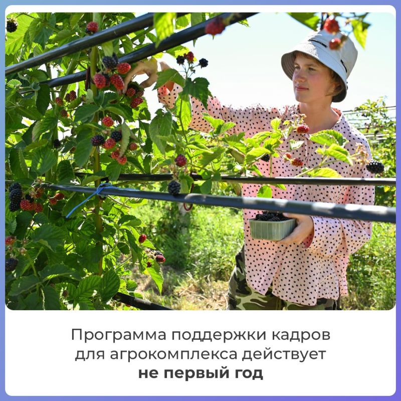 В Крыму молодые специалисты аграрных профессий получают единовременные выплаты В Крыму молодые специалисты аграрных профессий получают единовременные выплаты