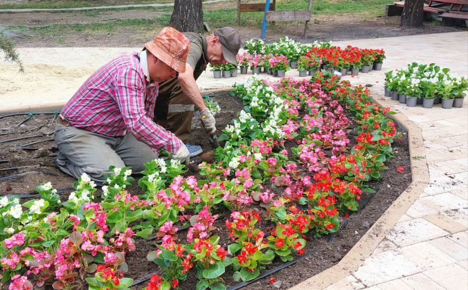 Новые краски парка Гагарина Новые краски парка Гагарина