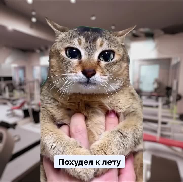  -    :  ,   ,           -  