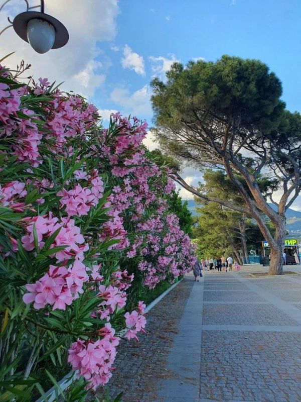 ����� ��������: ��� ������ �������� �������� ������� ���� � ���� ���� ����� ���� ��������� �� 6.5% � ��������� � ����������� �������� �������� ����