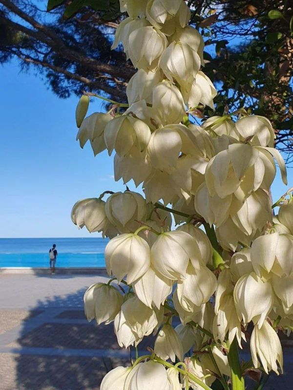 ����� ��������: ��� ������ �������� �������� ������� ���� � ���� ���� ����� ���� ��������� �� 6.5% � ��������� � ����������� �������� �������� ����