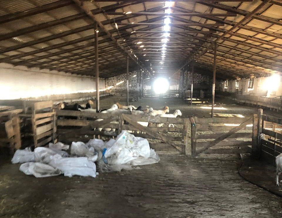 � �������������� ������ ���� ������ ��������� �� ����� �����