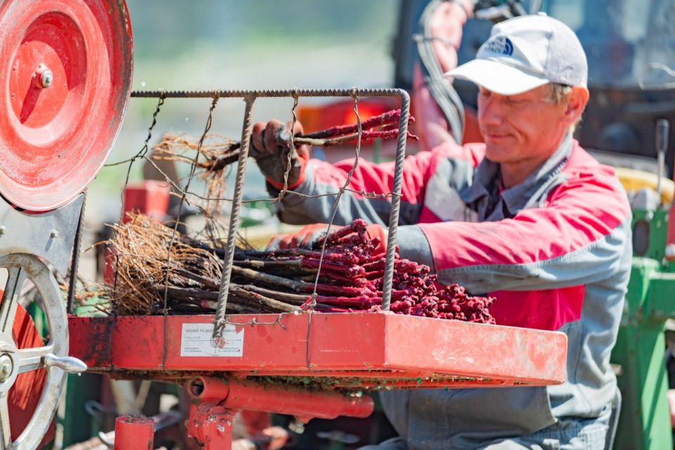 Михаил Развожаев: С начала года мы выделили уже больше 700 миллионов рублей для поддержки сельскохозяйственных предприятий Севастополя Михаил Развожаев: С начала года мы выделили уже больше 700 миллионов рублей для поддержки сельскохозяйственных предприятий Севастополя