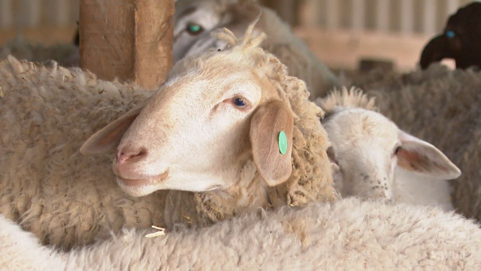 �� ����������� ������������� ����� ������� ����