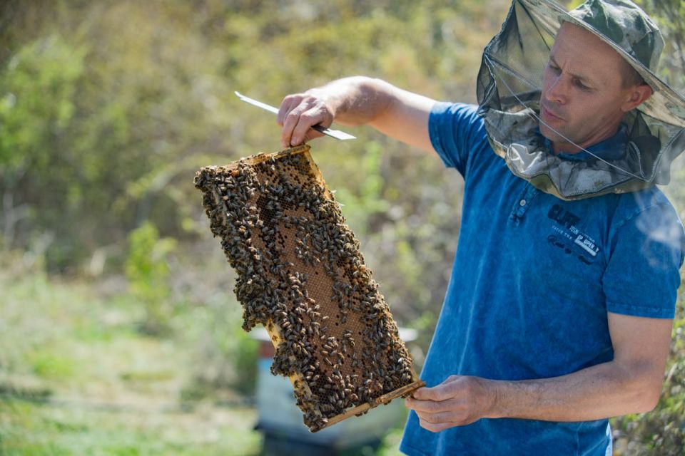 Михаил Развожаев: С начала года мы выделили уже больше 700 миллионов рублей для поддержки сельскохозяйственных предприятий Севастополя Михаил Развожаев: С начала года мы выделили уже больше 700 миллионов рублей для поддержки сельскохозяйственных предприятий Севастополя