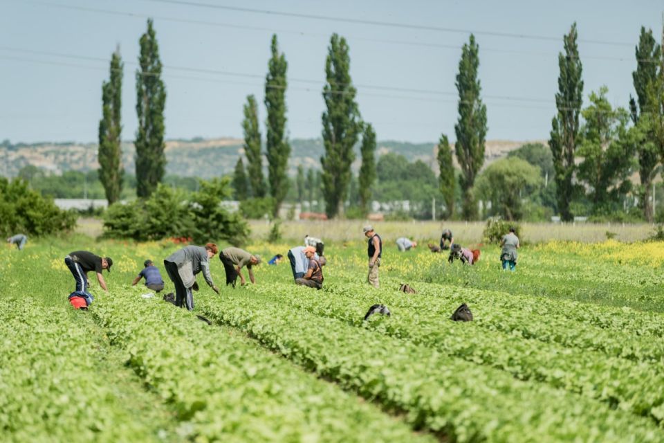 Михаил Развожаев: С начала года мы выделили уже больше 700 миллионов рублей для поддержки сельскохозяйственных предприятий Севастополя Михаил Развожаев: С начала года мы выделили уже больше 700 миллионов рублей для поддержки сельскохозяйственных предприятий Севастополя