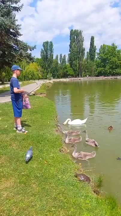 ,         !