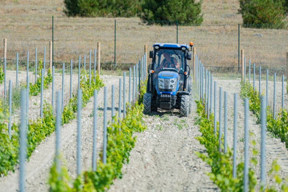 Михаил Развожаев: С начала года мы выделили уже больше 700 миллионов рублей для поддержки сельскохозяйственных предприятий Севастополя Михаил Развожаев: С начала года мы выделили уже больше 700 миллионов рублей для поддержки сельскохозяйственных предприятий Севастополя