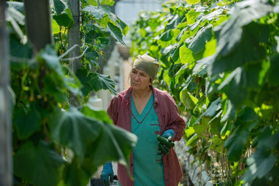 Михаил Развожаев: С начала года мы выделили уже больше 700 миллионов рублей для поддержки сельскохозяйственных предприятий Севастополя Михаил Развожаев: С начала года мы выделили уже больше 700 миллионов рублей для поддержки сельскохозяйственных предприятий Севастополя